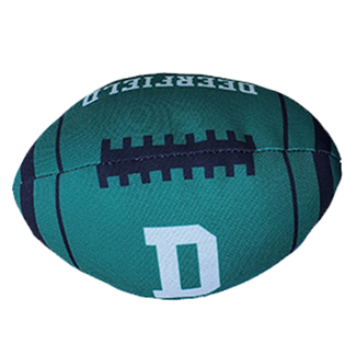 Football Squeaker Toy