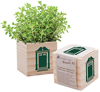 Wooden Cube Plant Kit